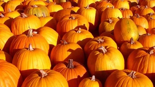 Image: Pedals, Pipes, and Pumpkins: An Interactive Organ Recital for Children and Adults