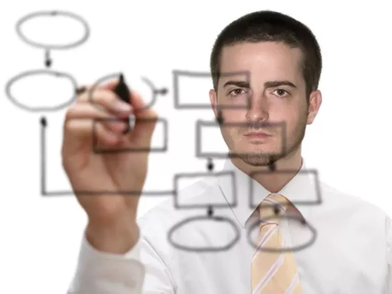 efecdb26_projectmanagement_man.webp
