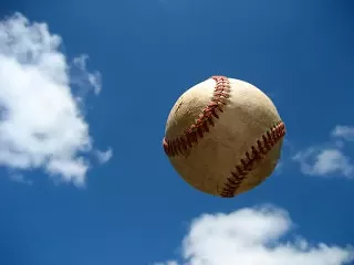 Image: Savannah Sand Gnats Baseball