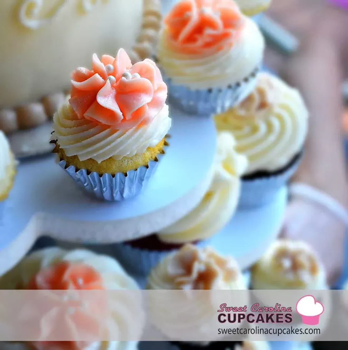 sweet_carolina_cupcakes.webp
