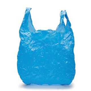 Tybee plastic bag ban proposal attracts off-island lobbyists