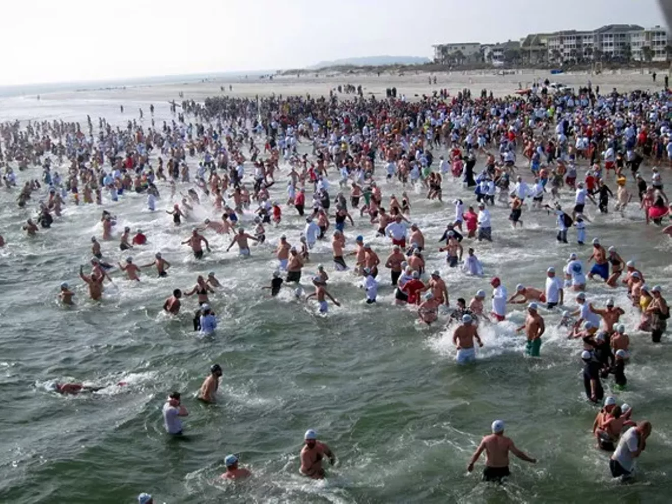 c78fb549_polar_plunge_in_water.webp