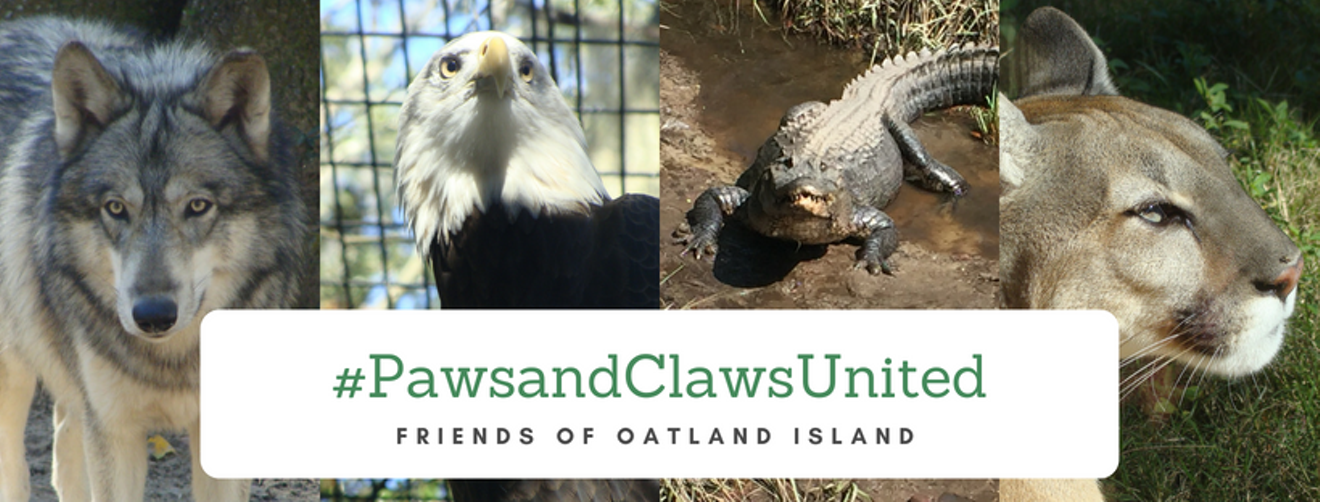 _pawsandclawsunited.png