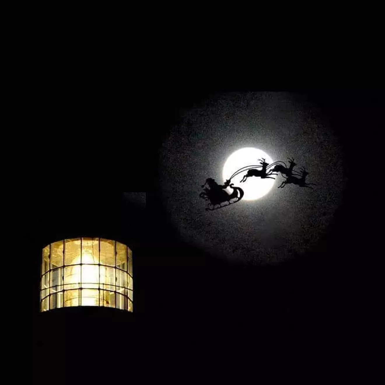 christmas_pic.webp