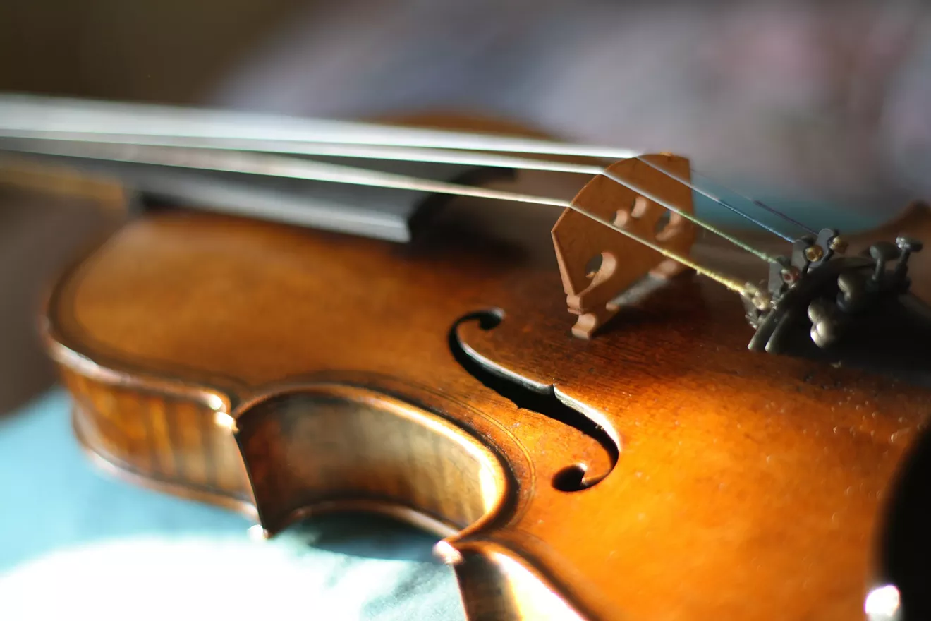 violin.webp