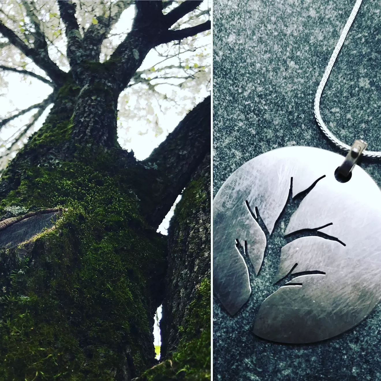 Student Designed Project