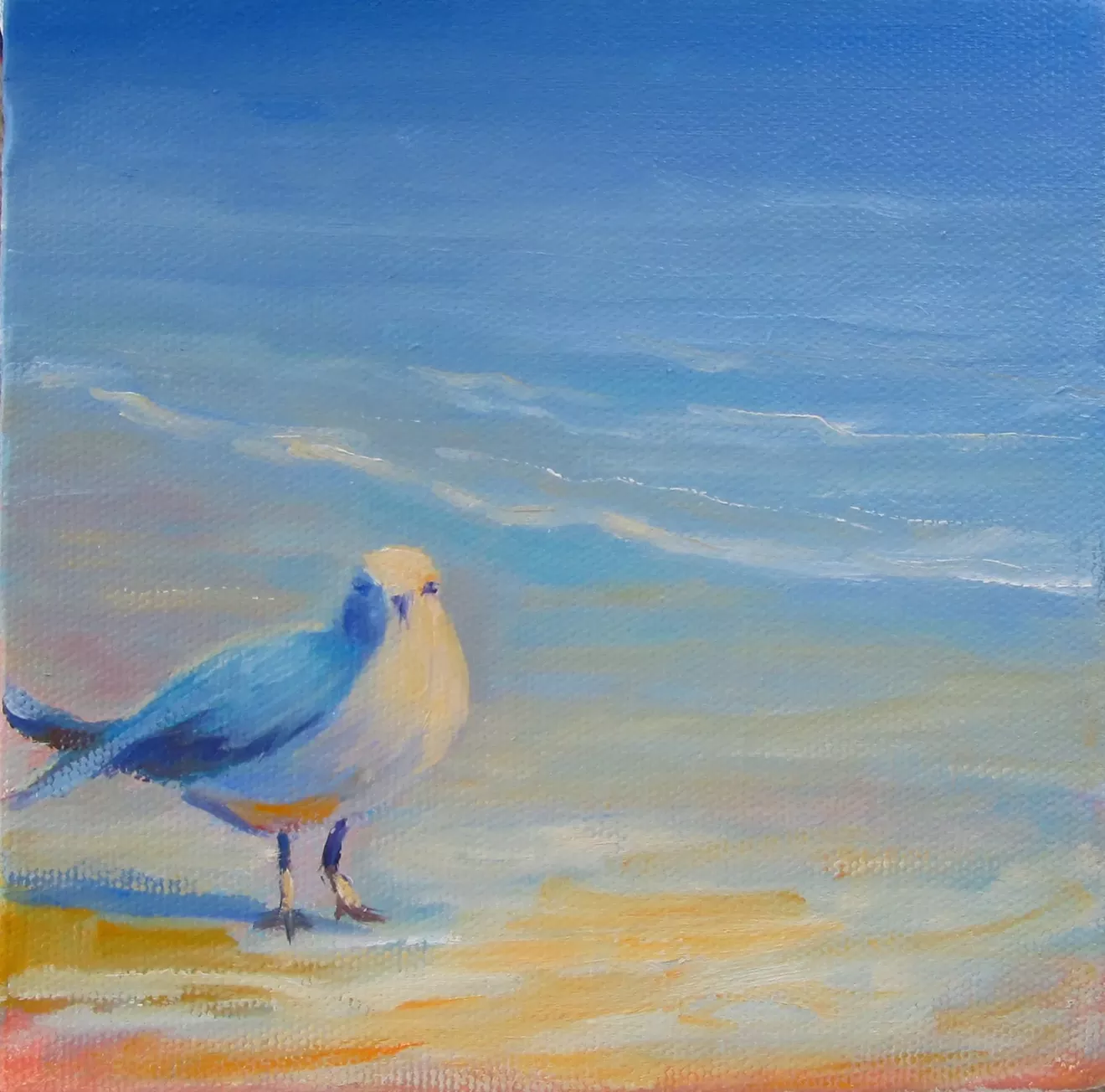 shore_bird.webp