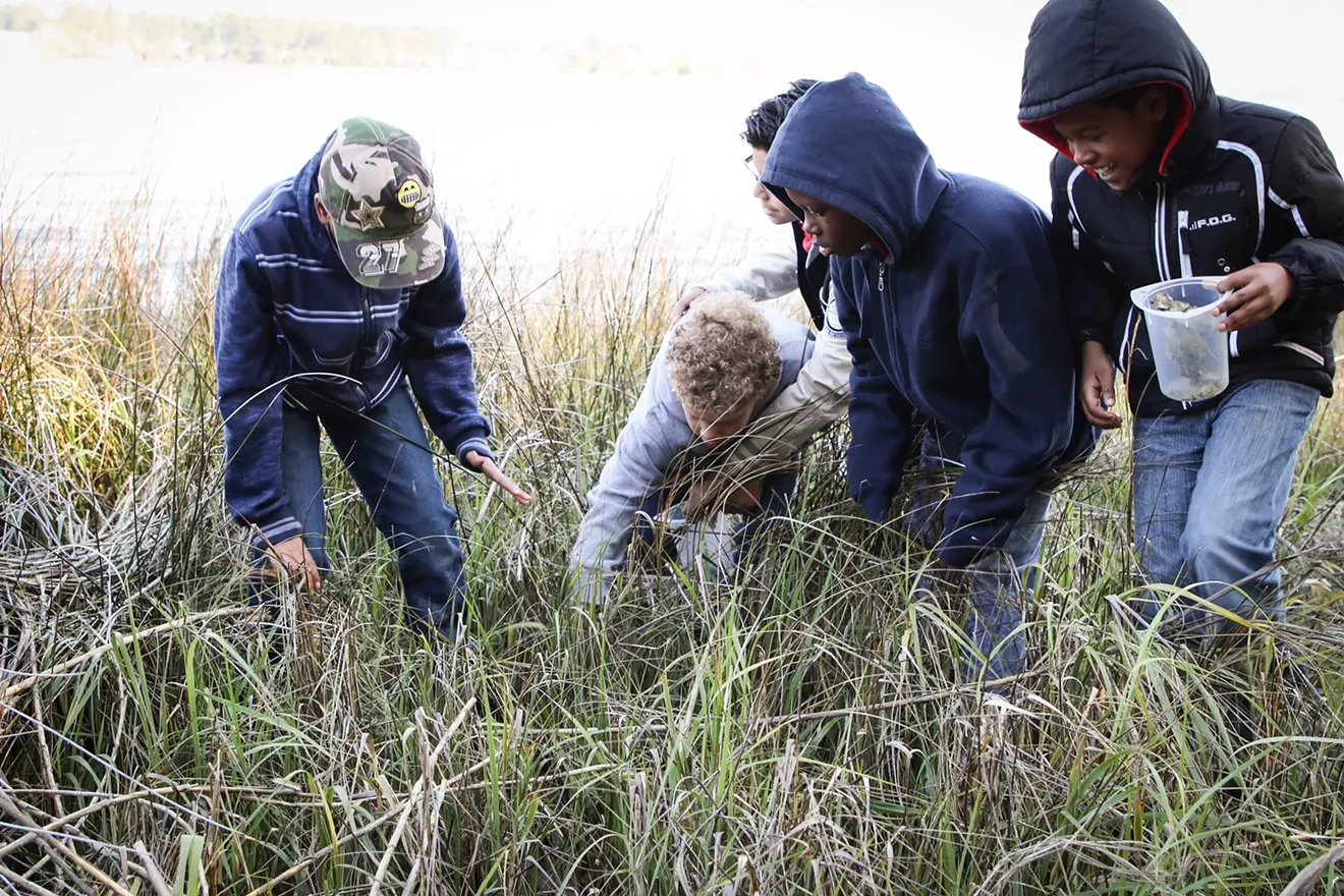 marsh_mucking.webp