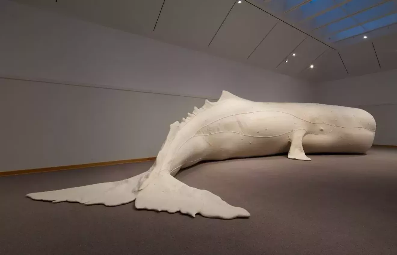 whale_small-2.webp