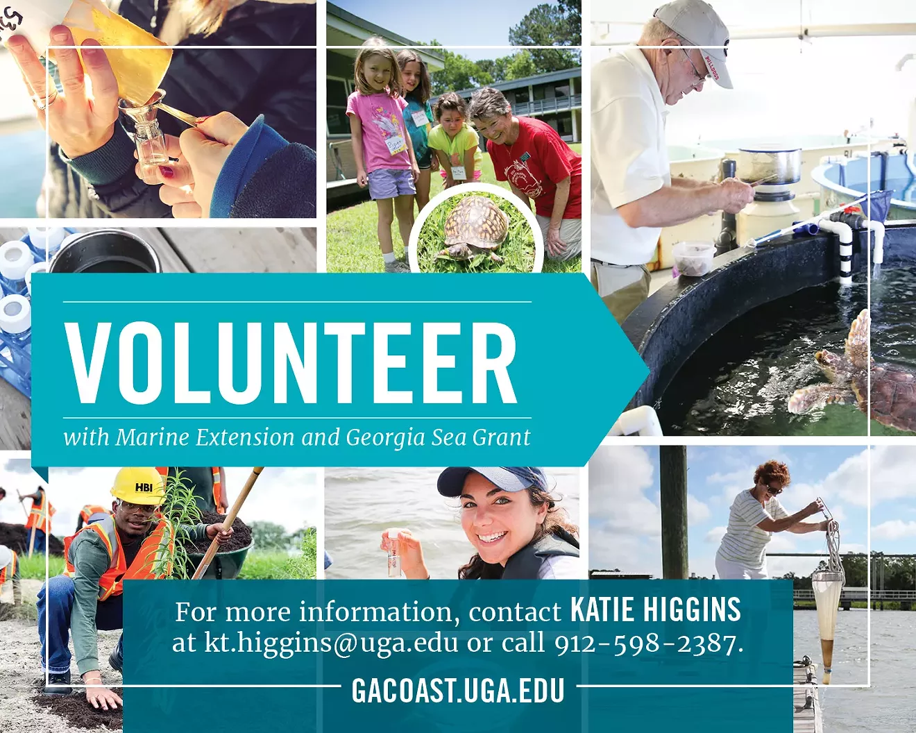 volunteer-postcard-4_1_-2.webp