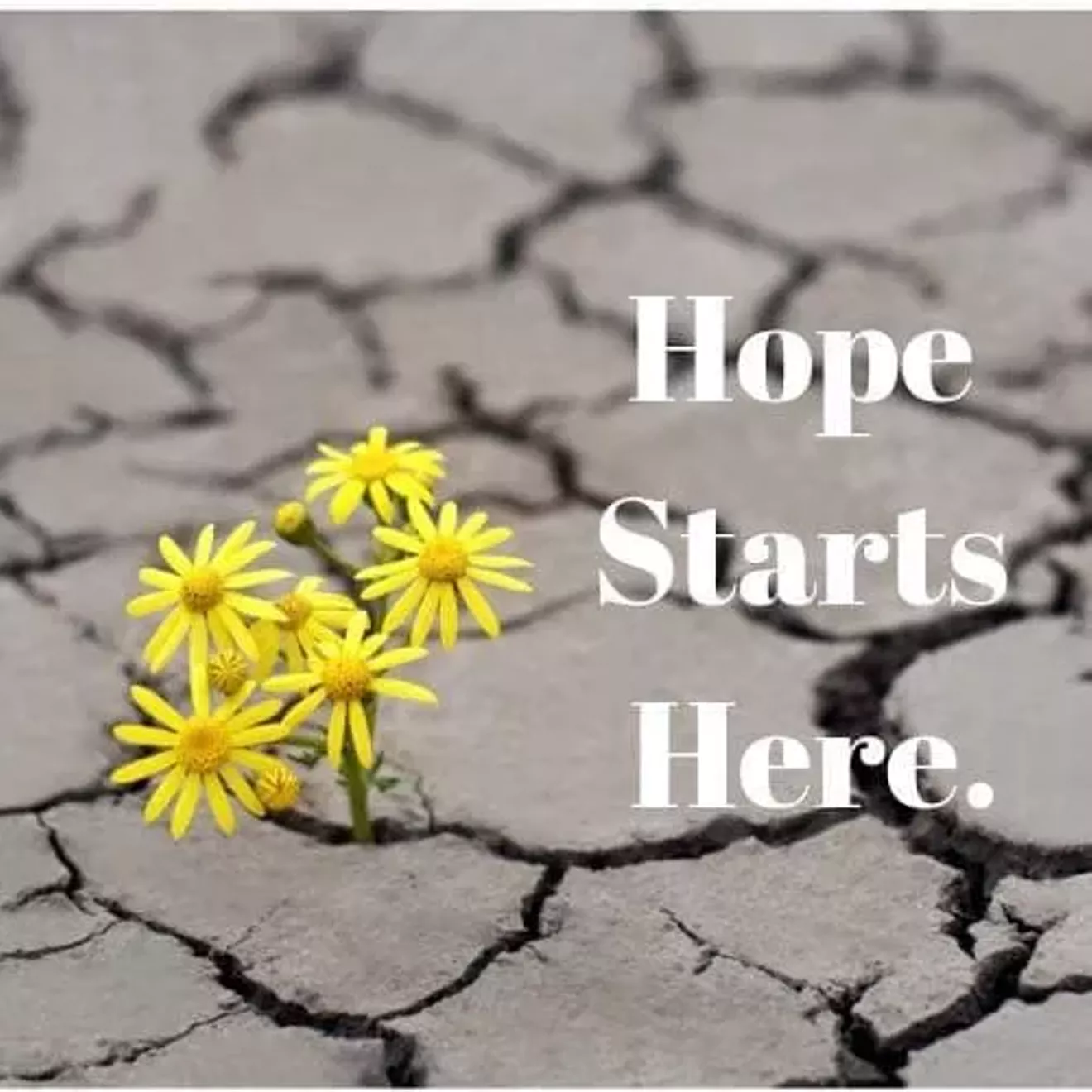 Low Country Counseling: Hope Starts Here.