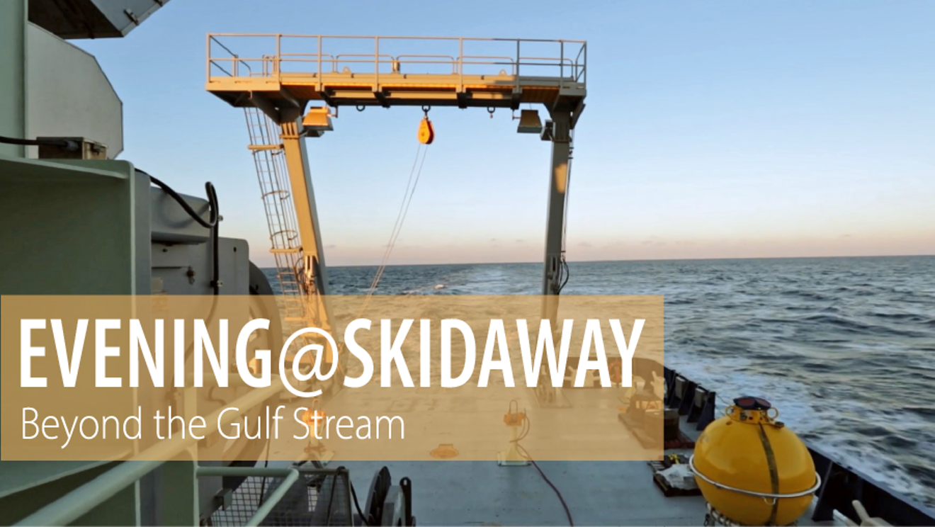 evening_at_skidaway3_20-01-01.png