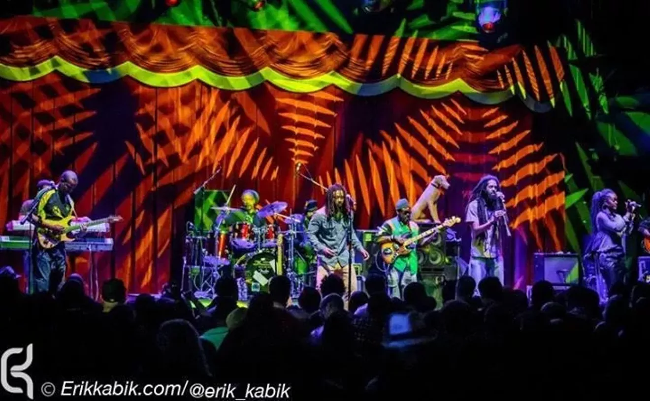 wailers1-3.webp