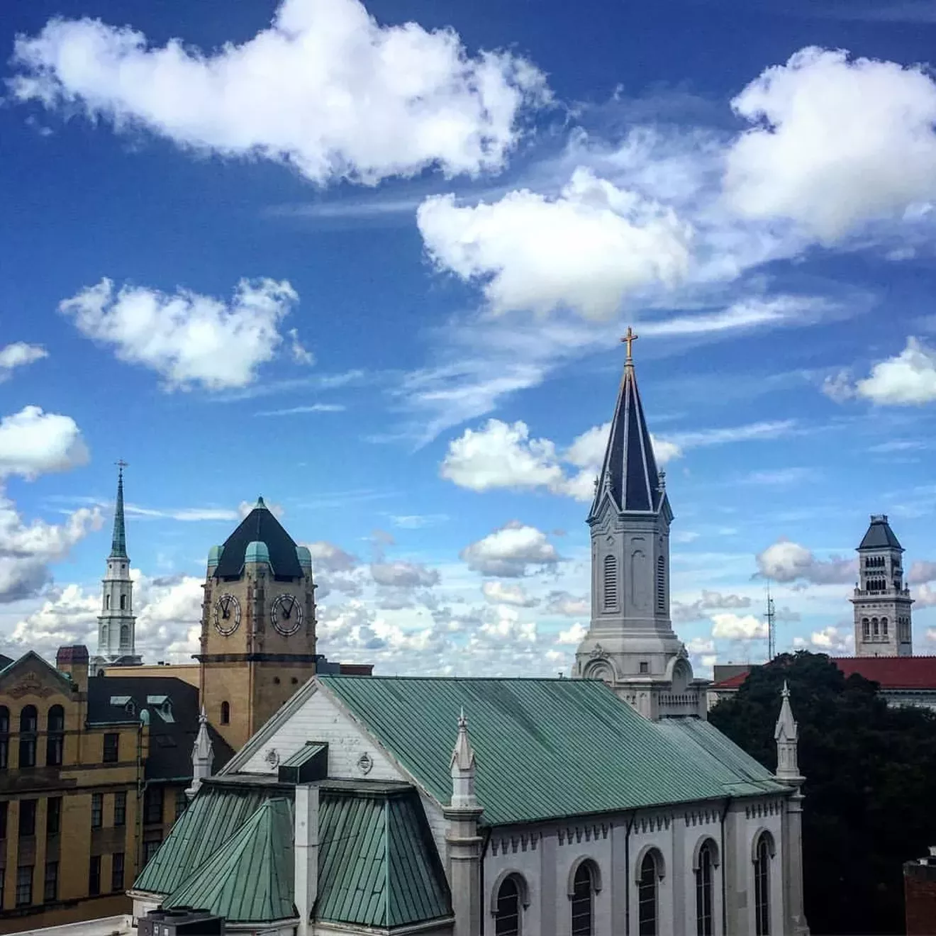 savannah_skyline_liza_judson.webp