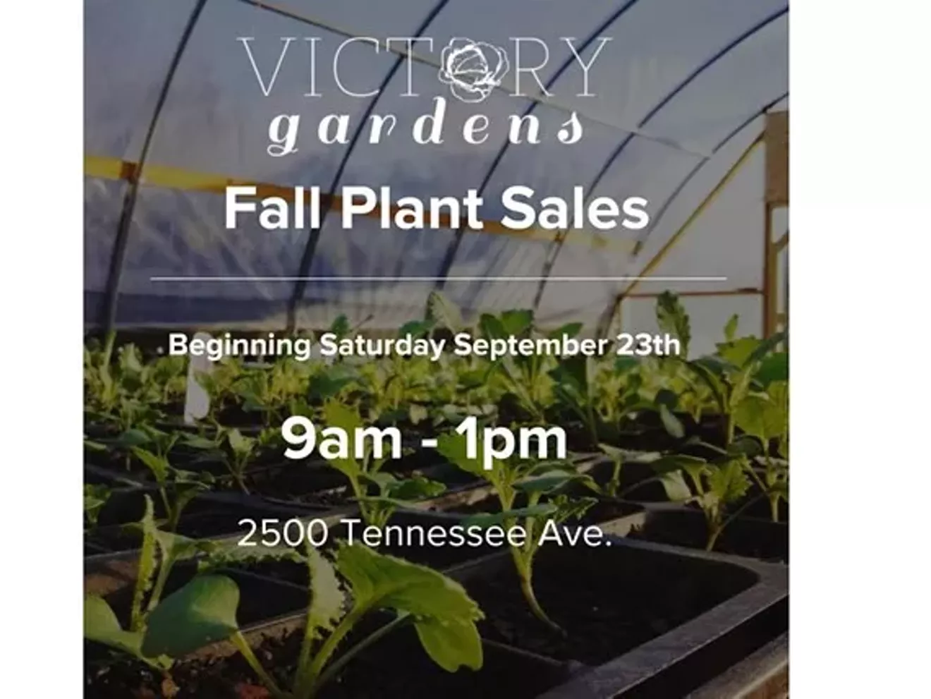 cac9993f_fall_2017_plant_sales.webp