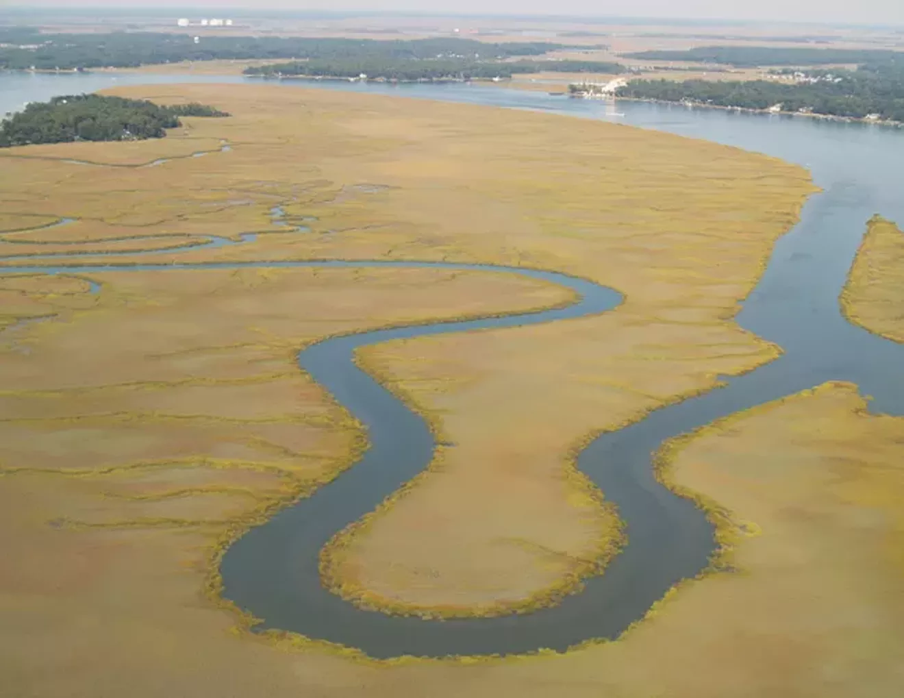 e0ee5bca_saltmarsh_aerial_650p.webp