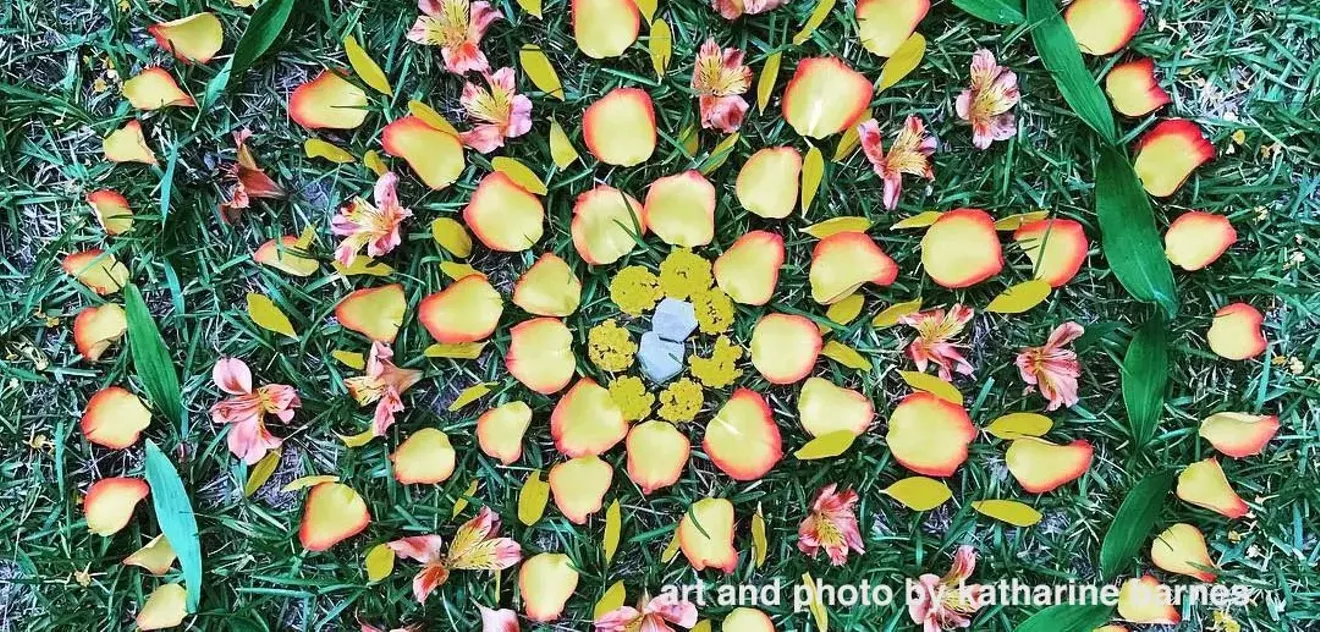 flower_mandala_crop_credit.webp