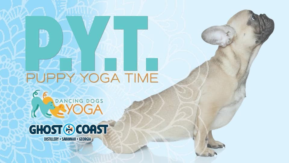 Puppies, yoga, and supporting Coastal Pet Rescue!