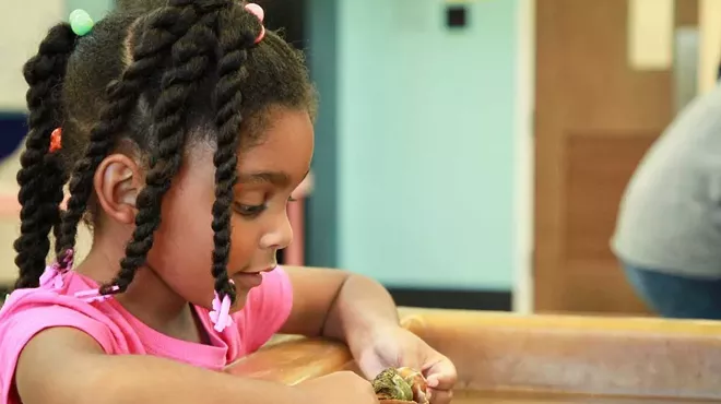 Image: Toddler Touch tanks