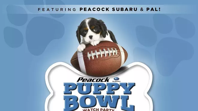 Image: Watch the Puppy Bowl With Peacock Subaru