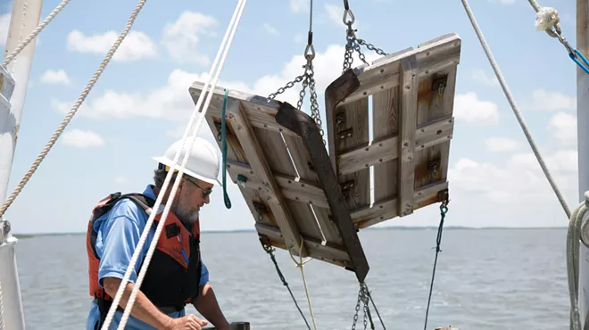 Image: Fish Sampling Cruise