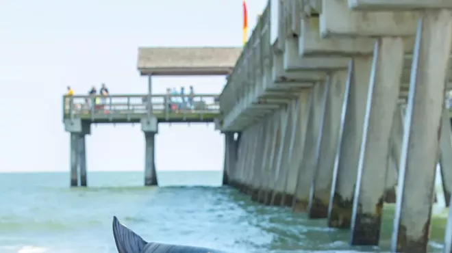 Image: Tybee Island Mermaid Festival