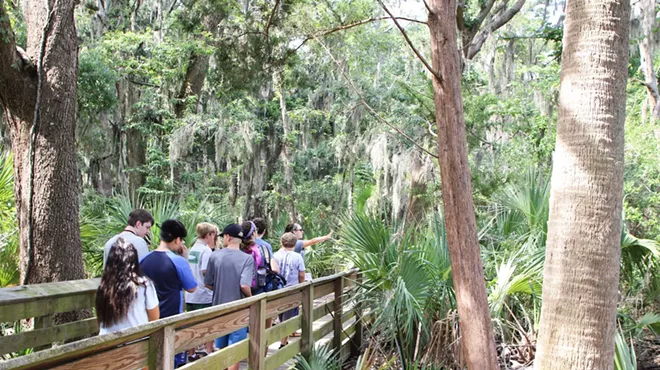Image: Family Field Trips: Maritime Forest Exploration