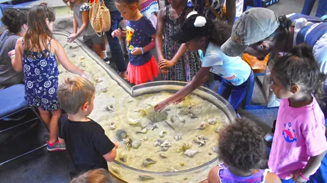 Image: Skidaway Marine Science Day