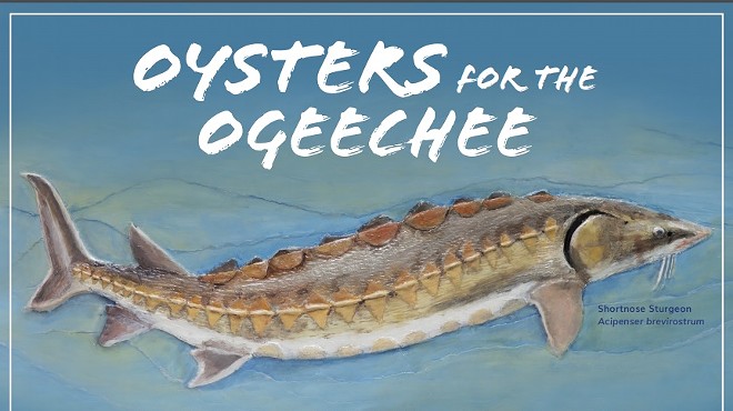 Oysters for the Ogeechee