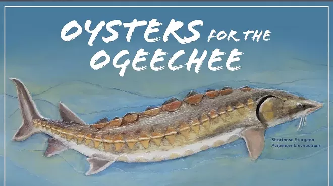 Image: Oysters for the Ogeechee