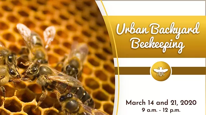 Image: Urban Backyard Beekeeping