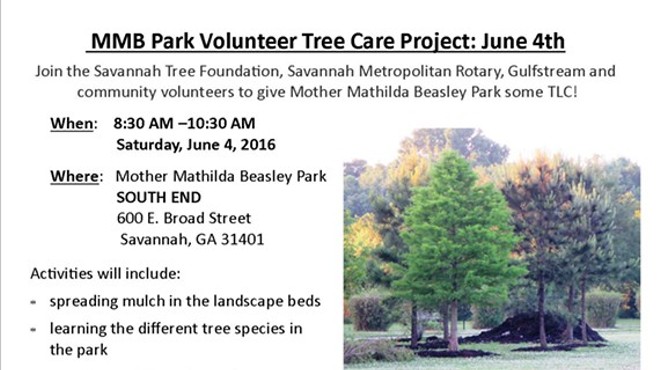 MMB Park Tree Care Project