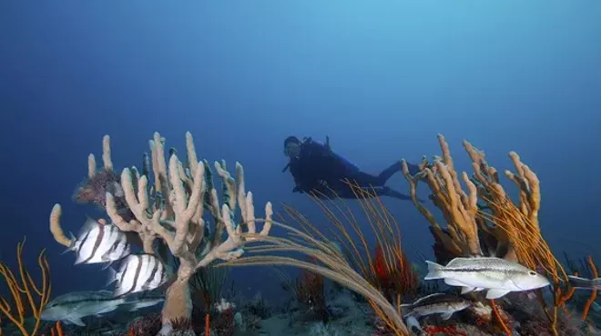 Image: Gray's Reef Advisory Meeting