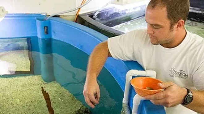 Image: Behind-the-Scenes Aquarium Tour