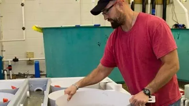 Image: Coastal Stewards Workshop Series: Georgia Oysters-Bringing Back the Bivalve
