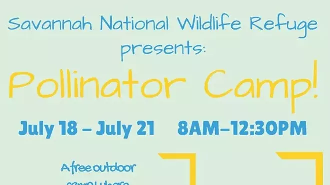 Image: Free Children's Pollinator Camp
