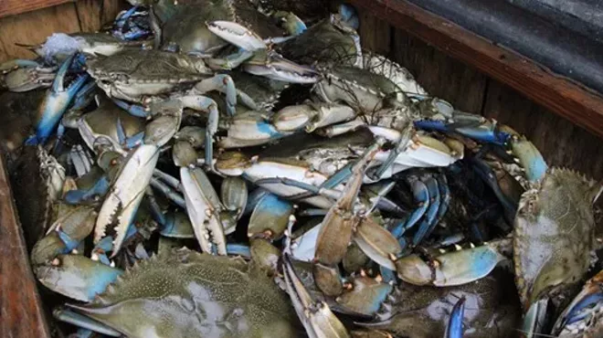 Image: Ocean to Table: Georgia Blue Crab