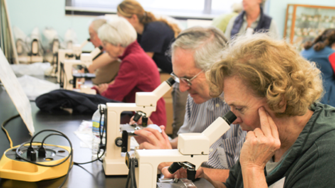 Image: Winter Science Series: Plankton Lab