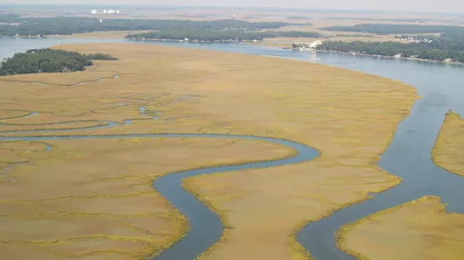 Image: Evening @ Skidaway: What is a salt marsh really worth?