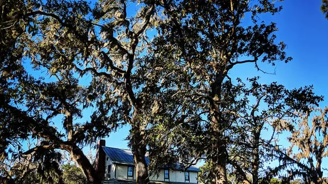 Image: Ossabaw Island Writers' Retreat- Fall Weekend