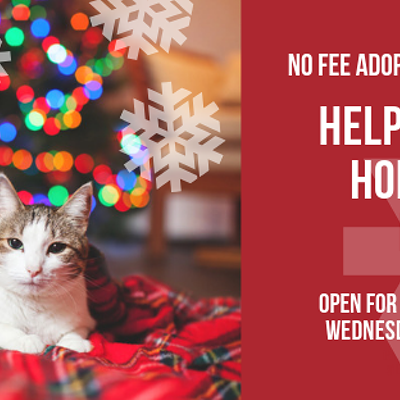 Image: No-fee adoptions at Animal Services through end of year