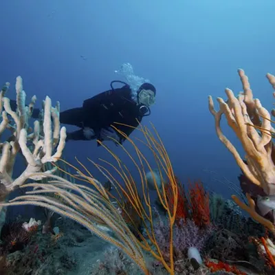 Image: Georgia earns prestigious Hope Spot designation
