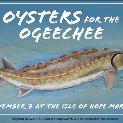 Oysters for the Ogeechee