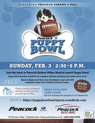 Image: Watch the Puppy Bowl With Peacock Subaru