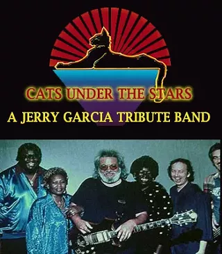 Image: Cats Under the Stars