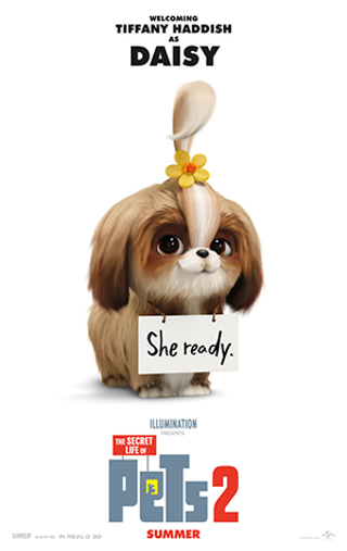 Image: Film: The Secret Life of Pets 2