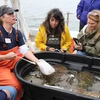 Image: Coastal Stewards Workshop: Introduction to the Coast