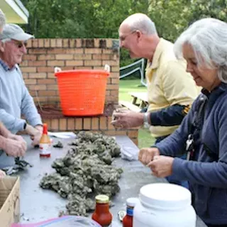 Image: Ocean to Table: Georgia Oysters and Clams
