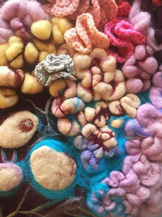 Image: Insides