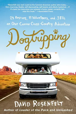 Image: Dogtripping